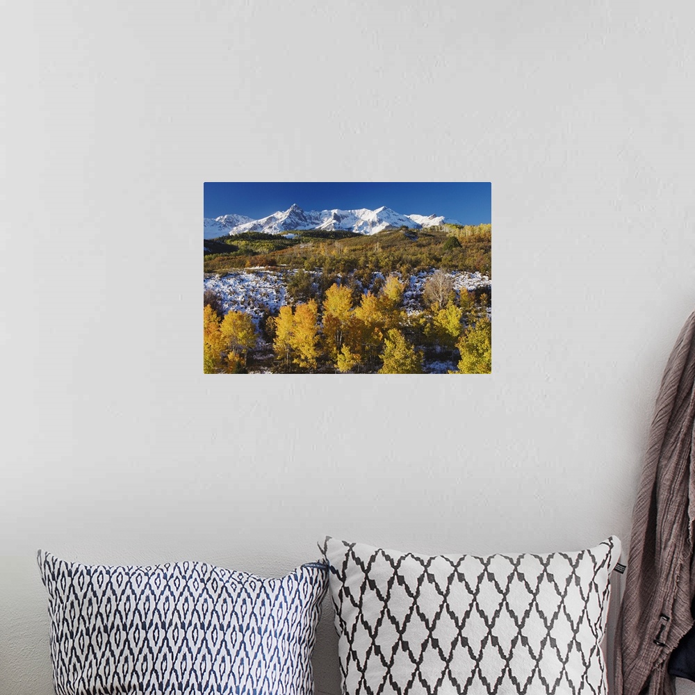 A bohemian room featuring San Juan Mountains and Aspen trees in fallcolor at sunrise, Dallas Divide, Ouray, Rocky Mountains...