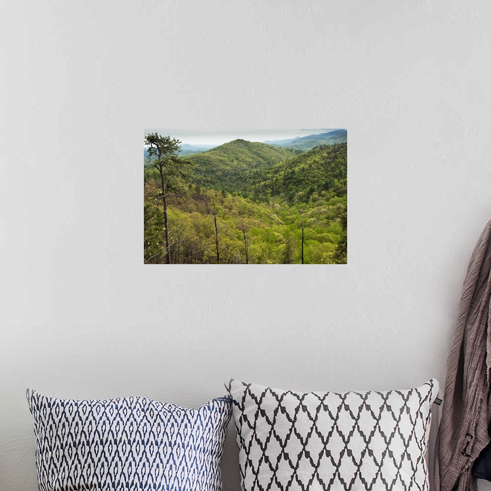 A bohemian room featuring Scenics of Blue Ridge Mountains, Northern Georgia, USA.