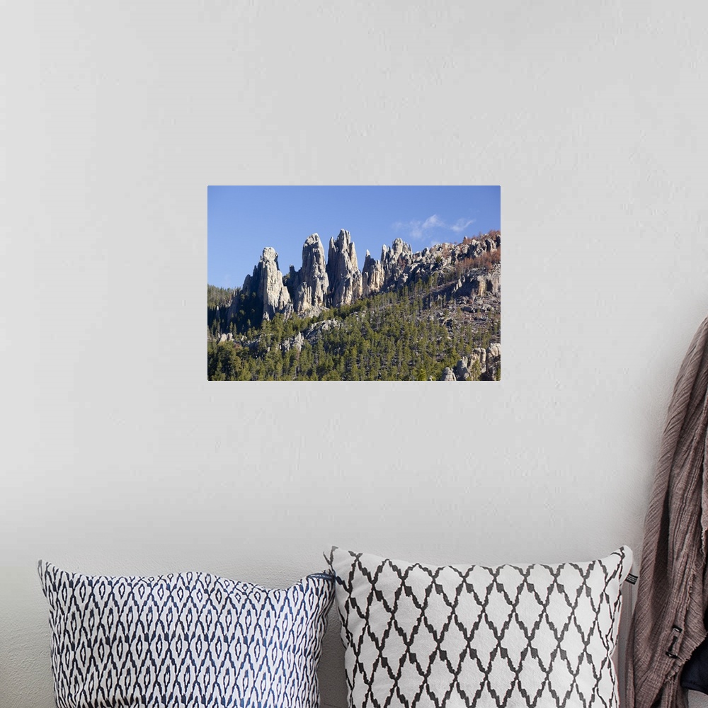 A bohemian room featuring SD, Custer State Park, Needles Highway, Cathedral Spires, granite rock formations