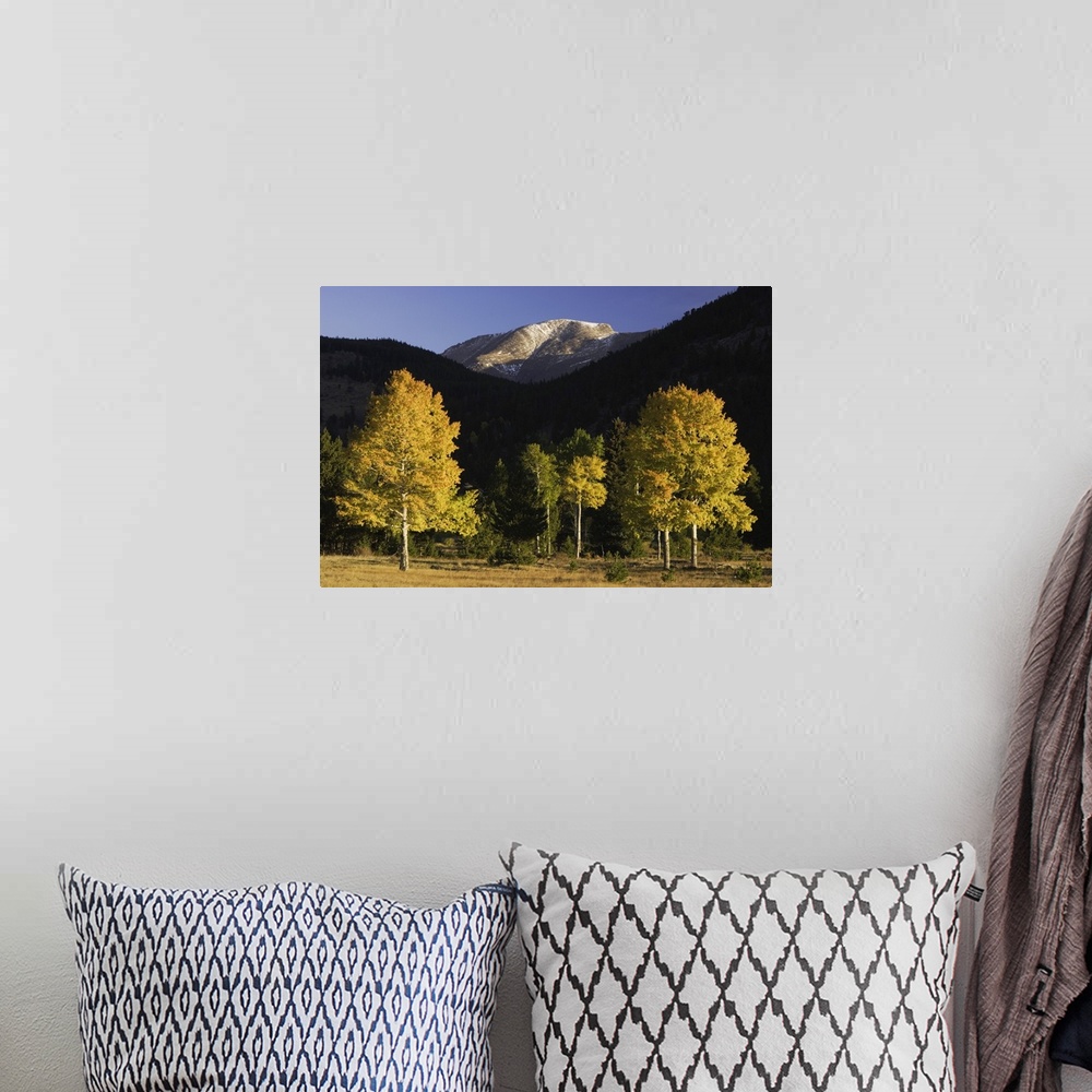 A bohemian room featuring Sunrise over Mummy Range with Aspen trees in fallcolor, Rocky Mountain National Park, Colorado, U...