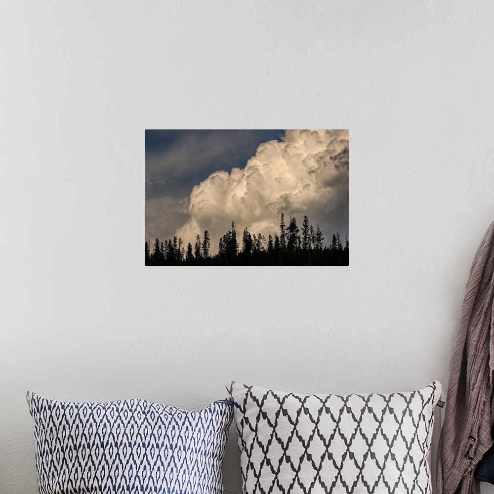 A bohemian room featuring Trees silhouetted against cumulus cloud, Yellowstone National Park, Wyoming. United States, Wyoming.