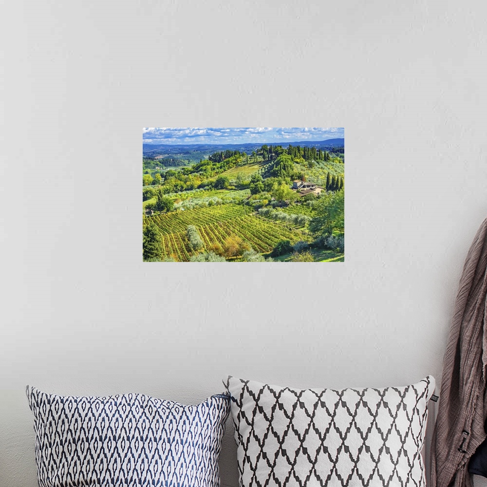 A bohemian room featuring Tuscan vineyard, San Gimignano, Tuscany, Italy.