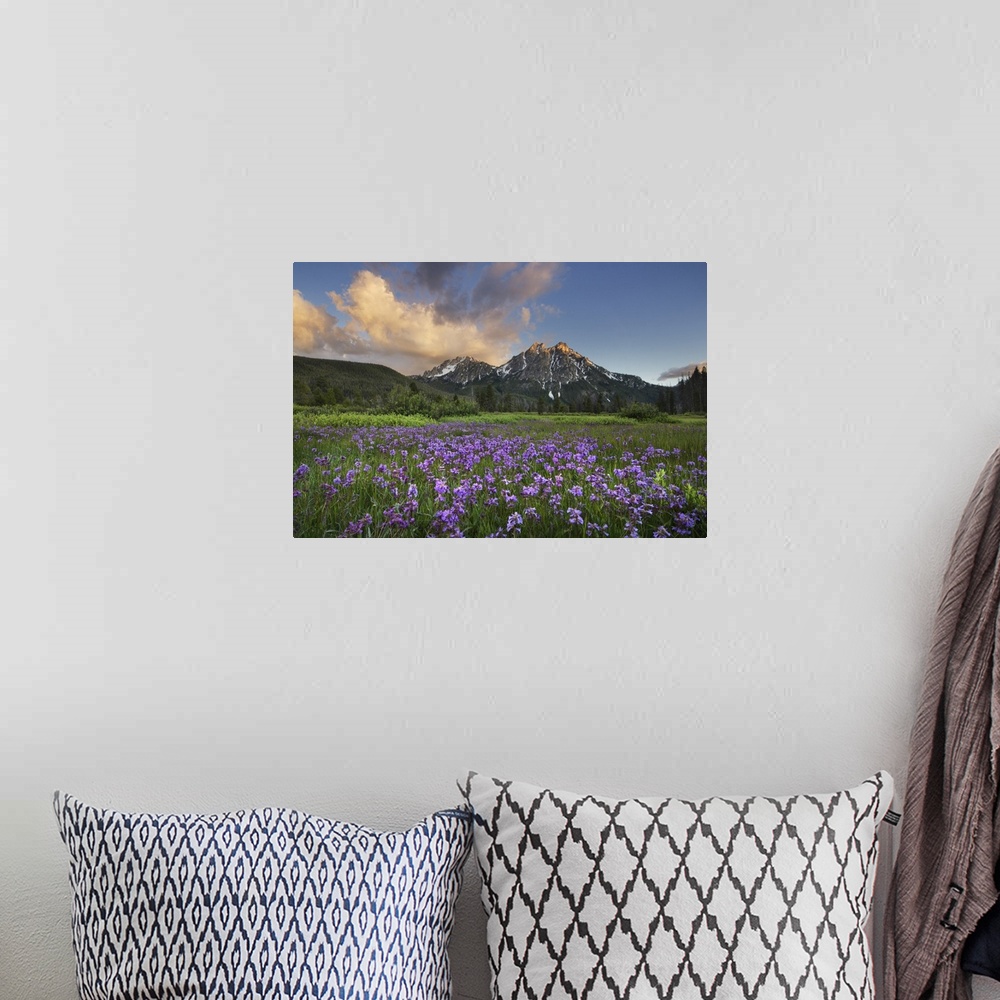 A bohemian room featuring USA, Idaho, Mcgown Peak Sawtooth Mountains
