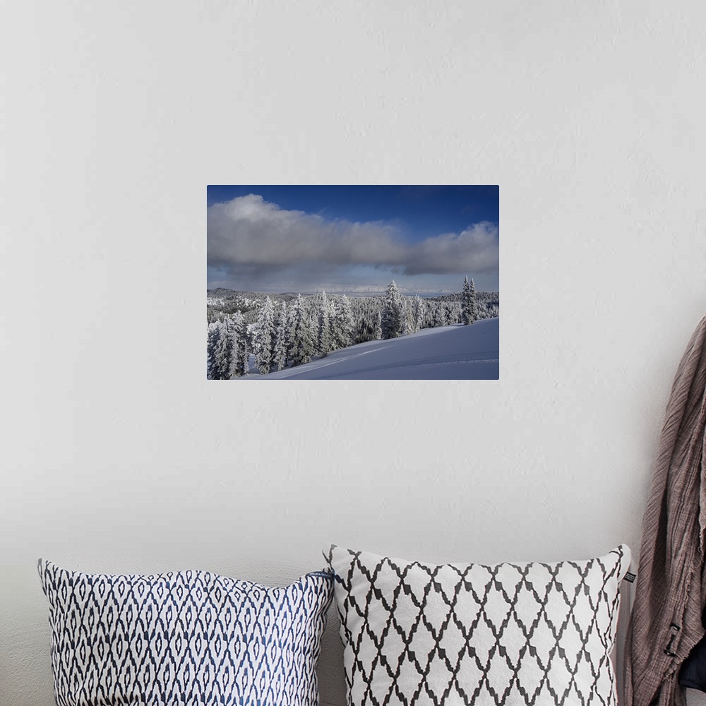 A bohemian room featuring USA, Idaho. Winter landscape near Bear Lake.