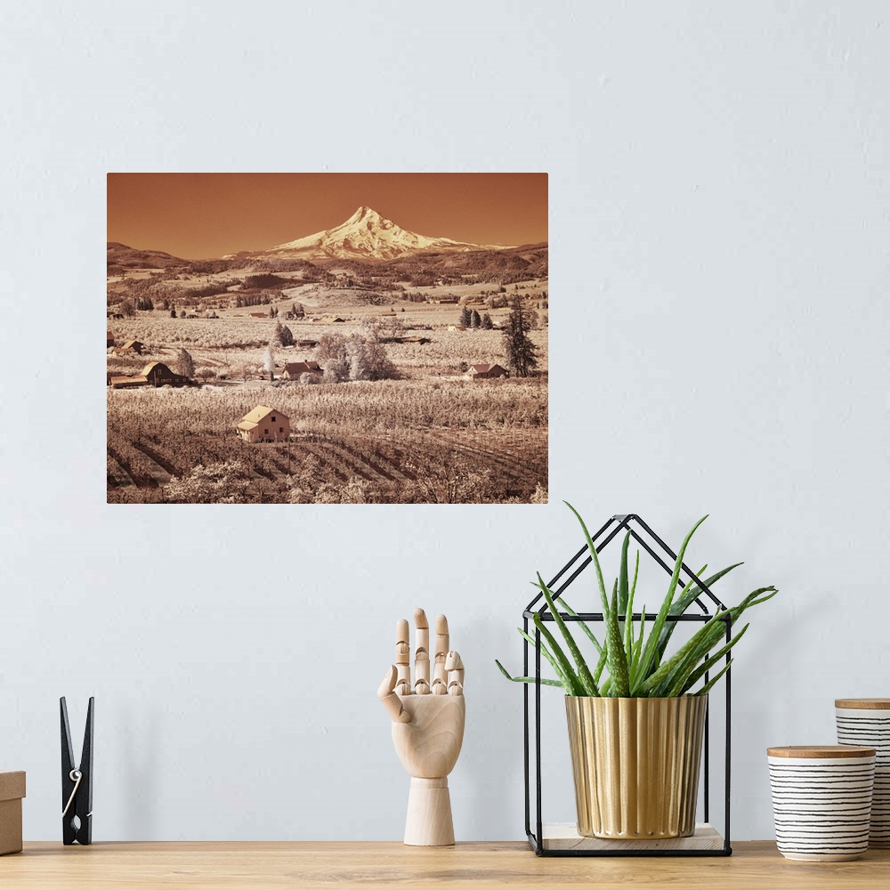 A bohemian room featuring USA, Oregon, Columbia Gorge. Infrared of spring orchards in bloom and Mount Hood. United States, ...