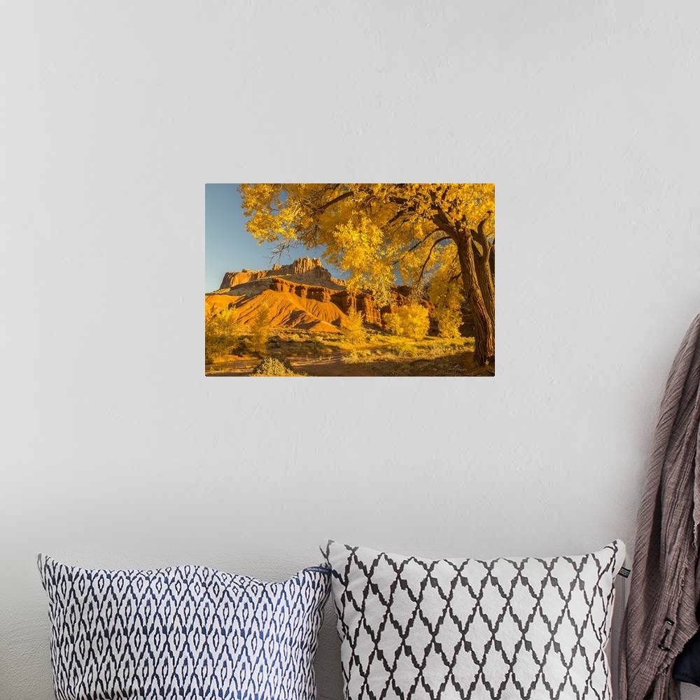 A bohemian room featuring Utah, Capitol Reef National Park, Cottonwood Trees And The Castle Rock Formation