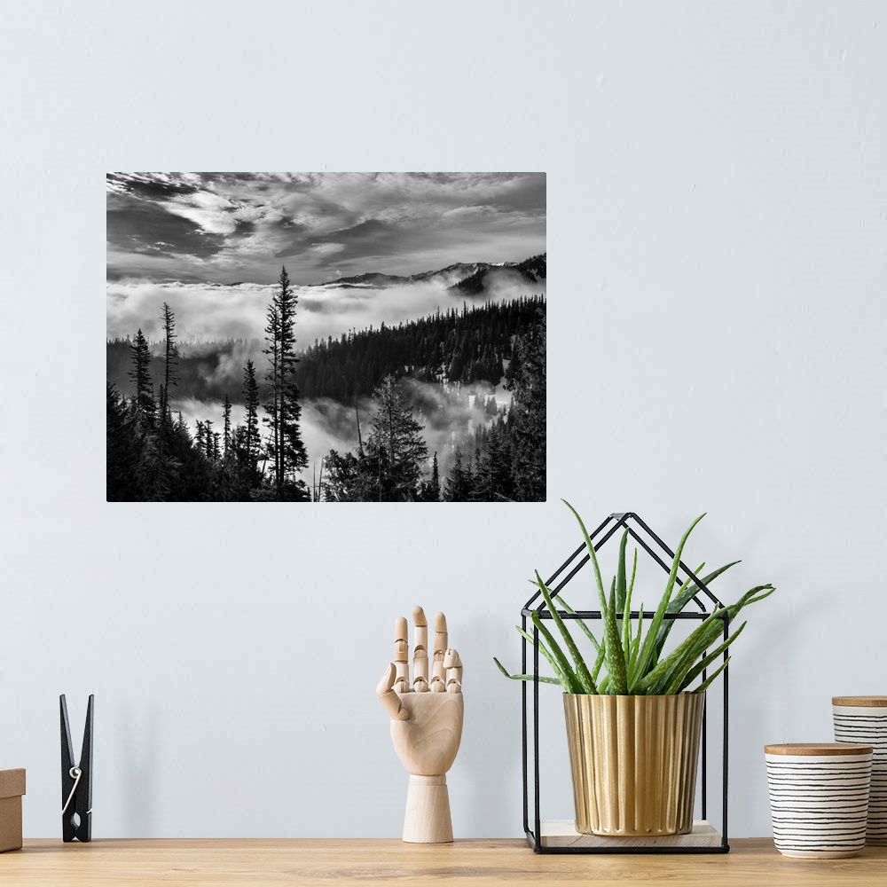 A bohemian room featuring USA, Washington, Olympic National Park, View northeast from road to Hurricane Ridge