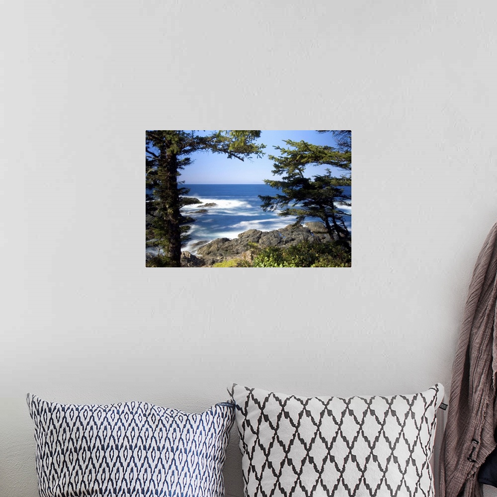 A bohemian room featuring Wild Pacific Trail, Ucluelet, Vancouver Island, British Columbia