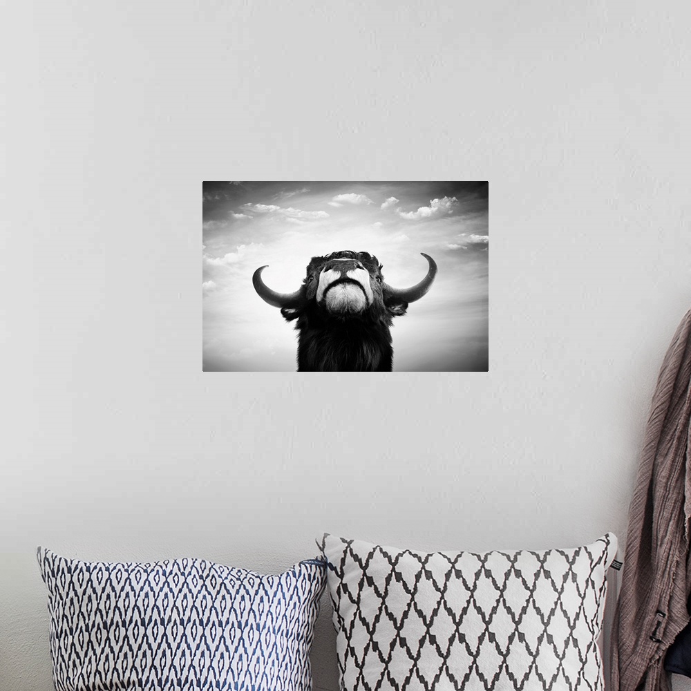 A bohemian room featuring Black and white impudent bull portrait.