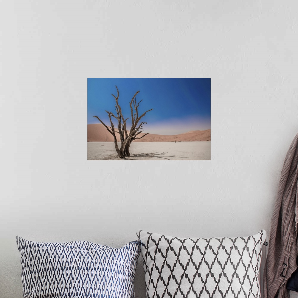 A bohemian room featuring Deadvlei in the Namib desert of Namibia is a dry landscape surrounded by high dunes, the cracked ...