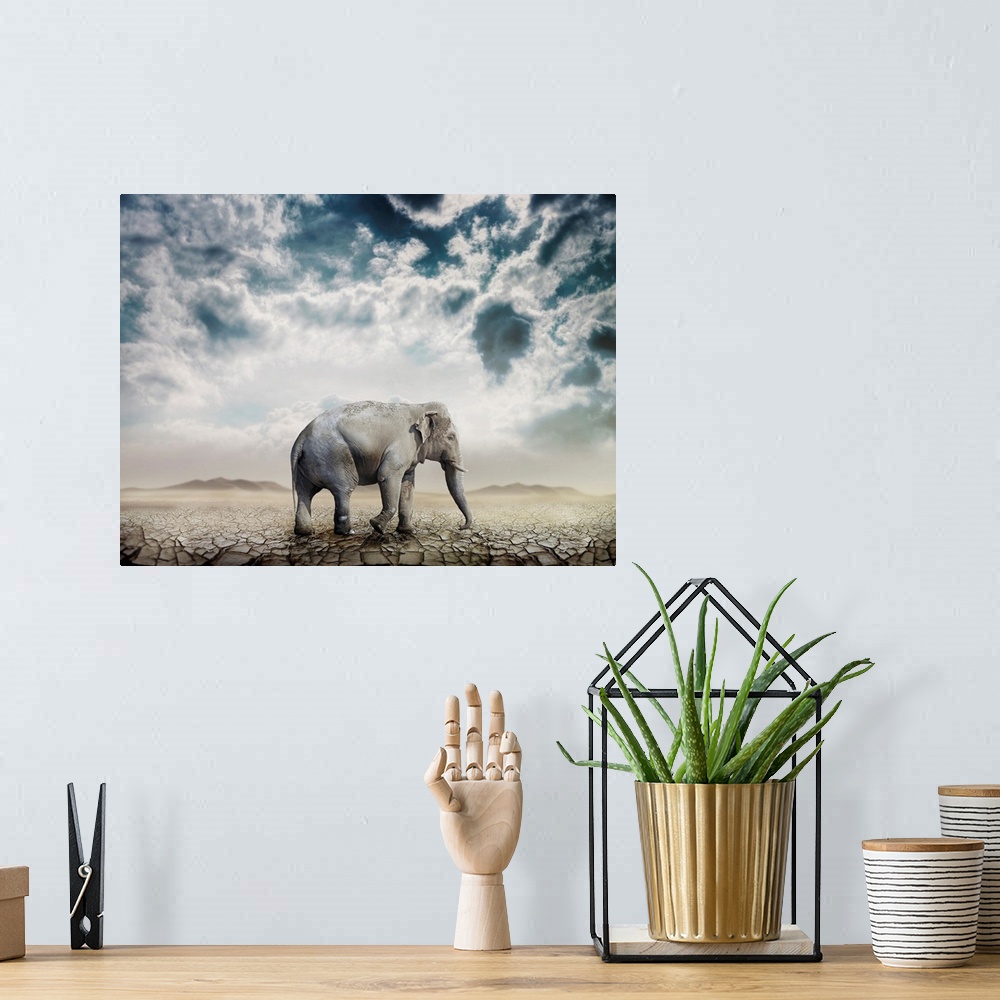 A bohemian room featuring Elephant In The Desert
