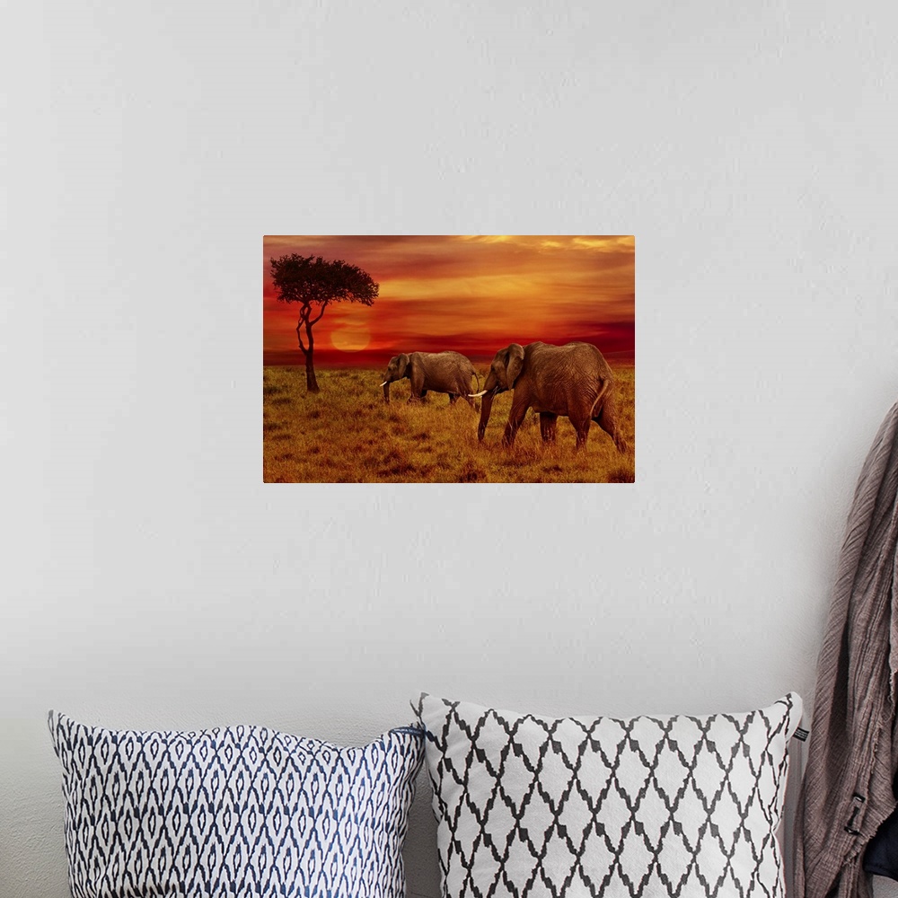 A bohemian room featuring Elephants At Sunset, Africa