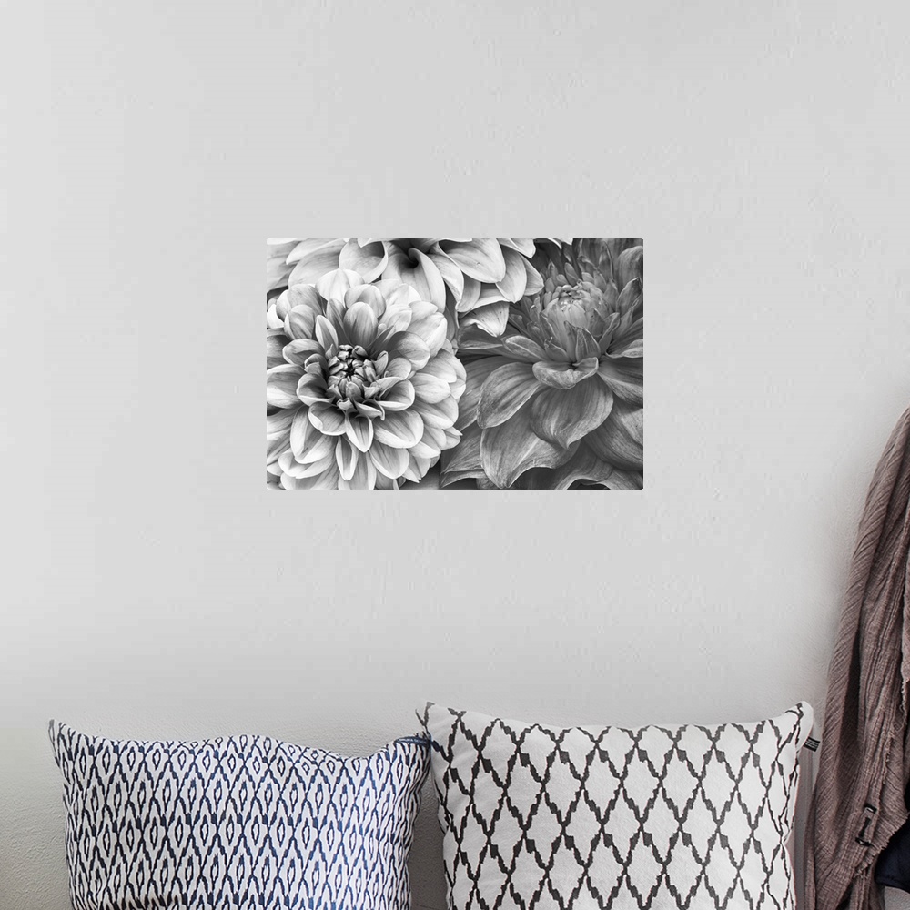 A bohemian room featuring A monochrome shot of a bunch of dahlia flowers.