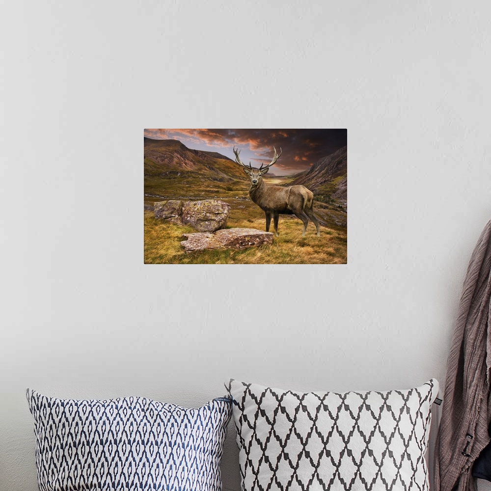 A bohemian room featuring Dramatic sunset with a beautiful sky over a mountain range. A strong moody landscape and red deer...