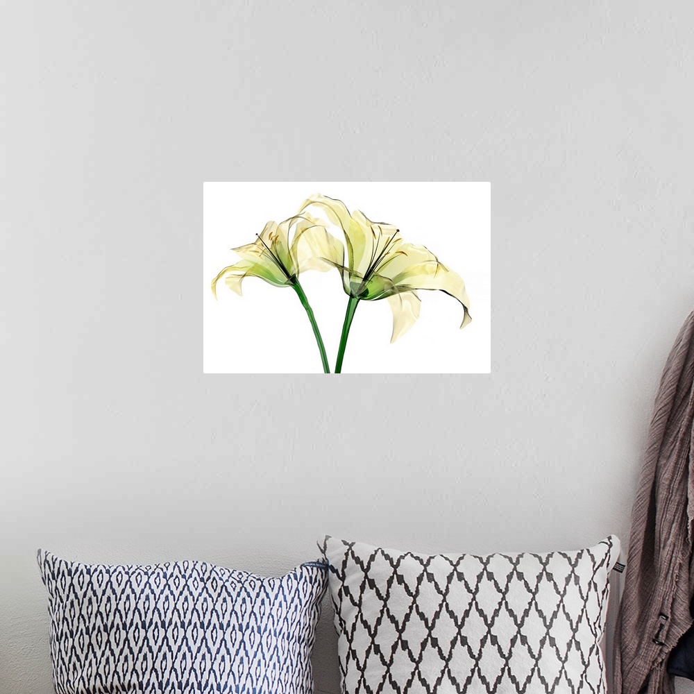 A bohemian room featuring The Lily Flower