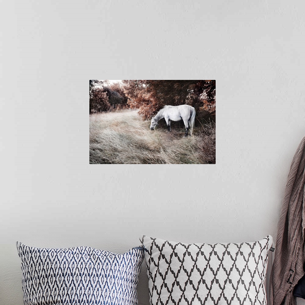 A bohemian room featuring Artistic image of a beautiful white horse.