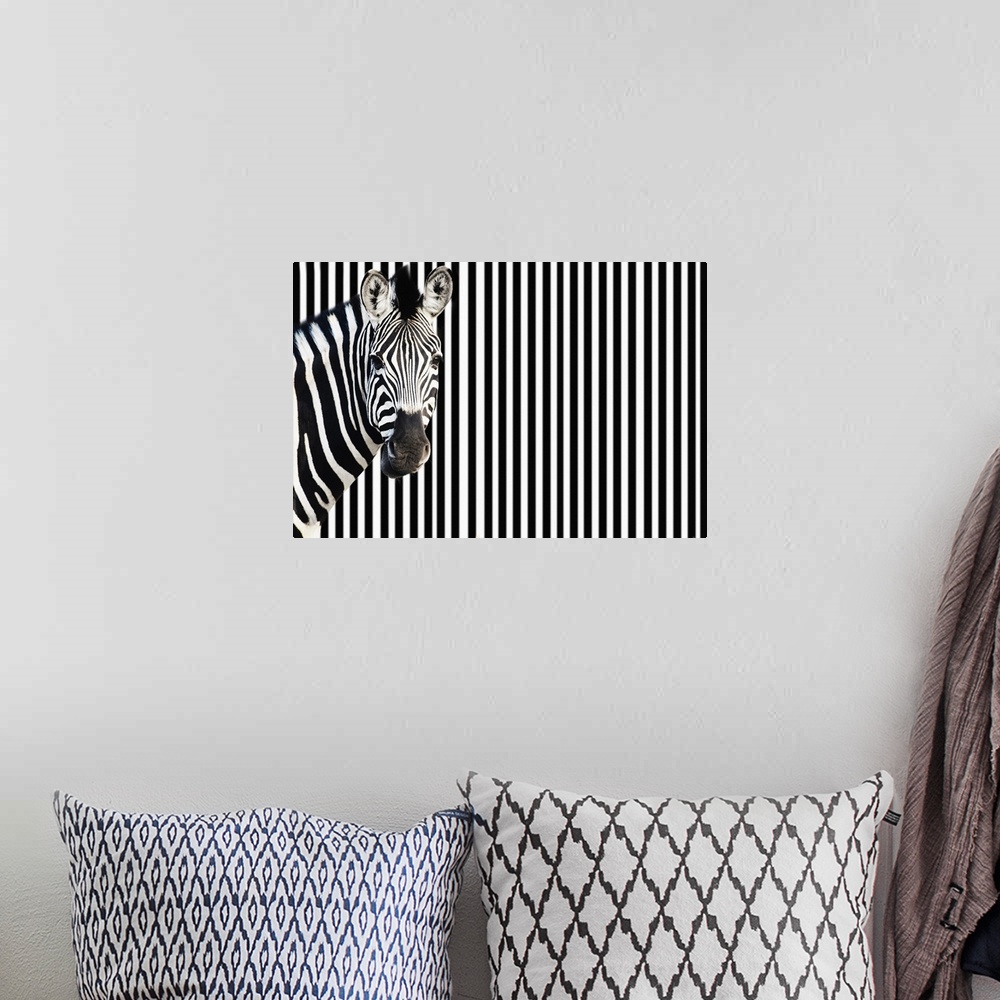 A bohemian room featuring Zebra on striped background looking at camera.
