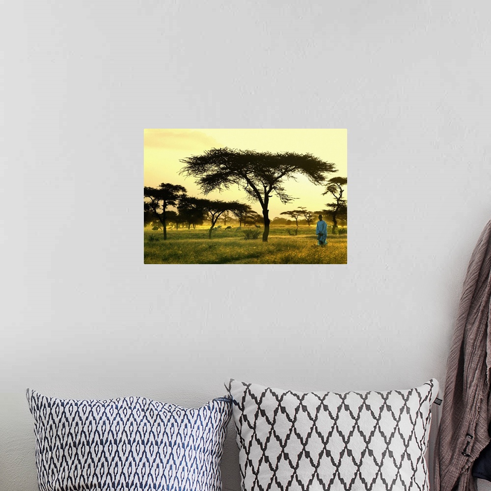 A bohemian room featuring Senegal, Landscape near Dagana town