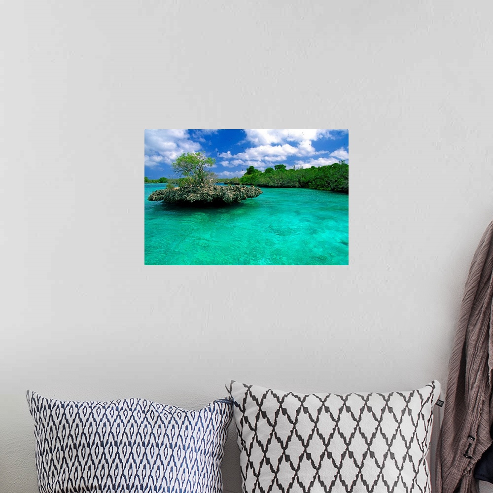 A bohemian room featuring Africa, Seychelles, Aldabra atoll, Outer islands, Aldabra atoll, lagoon