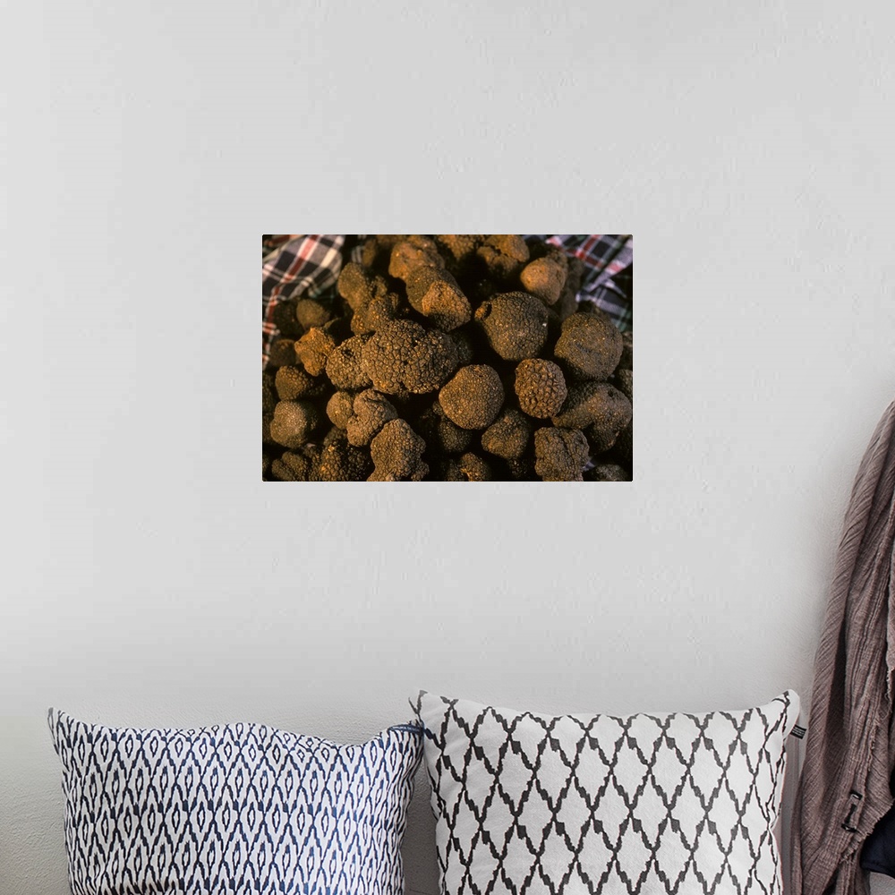 A bohemian room featuring Black truffles by Poddi Farm