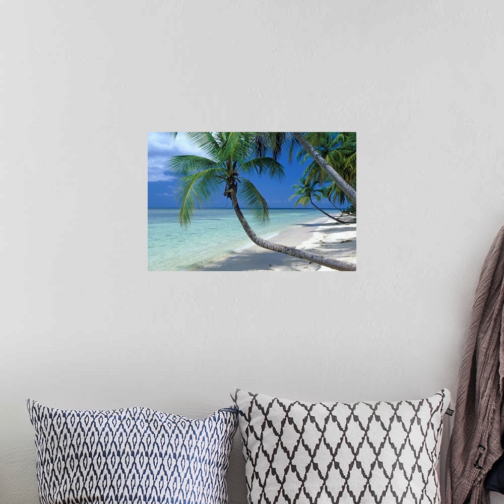 A bohemian room featuring La spiaggia di Pigeon Point, sull'isola di Tobago, Antille, Caraibi....Pigeon Point beach, Tobago...
