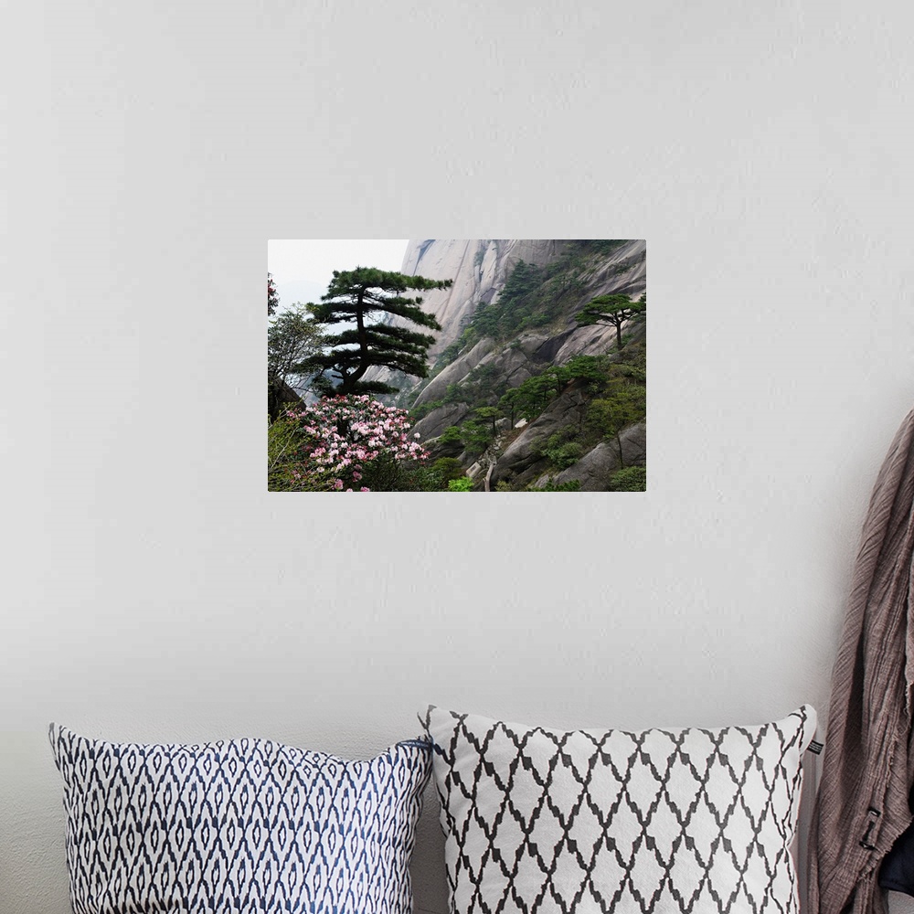 A bohemian room featuring China, Anhui, Huangshan Mountains