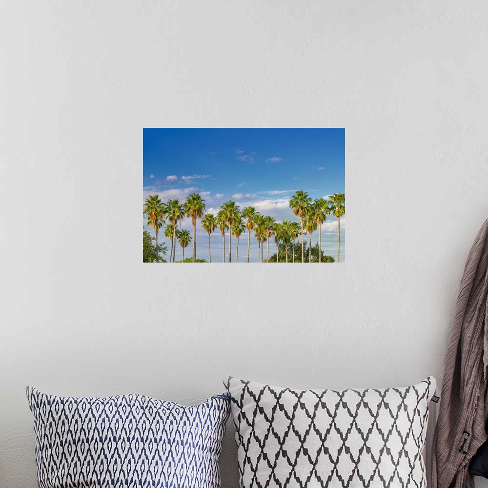 A bohemian room featuring Florida, South Florida, Miami, Palm trees