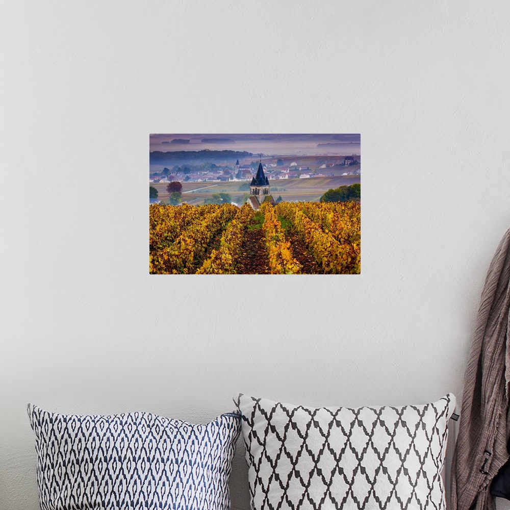 A bohemian room featuring France, Champagne-Ardenne, Champagne, Marne, Ville-Dommange, Vineyards in autumn