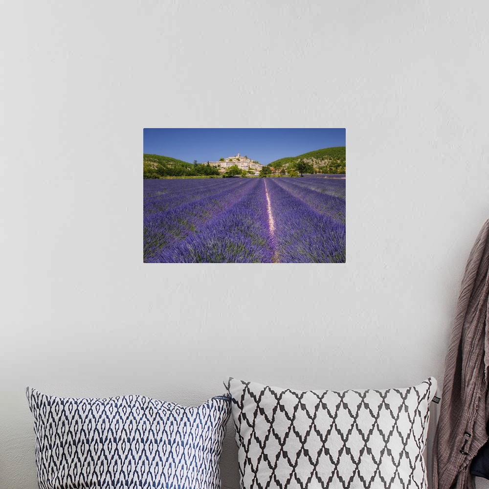 A bohemian room featuring France, Provence-Alpes-Cote d'Azur, Banon, Provence, Alpes-de-Haute-Provence, Field of lavender (...