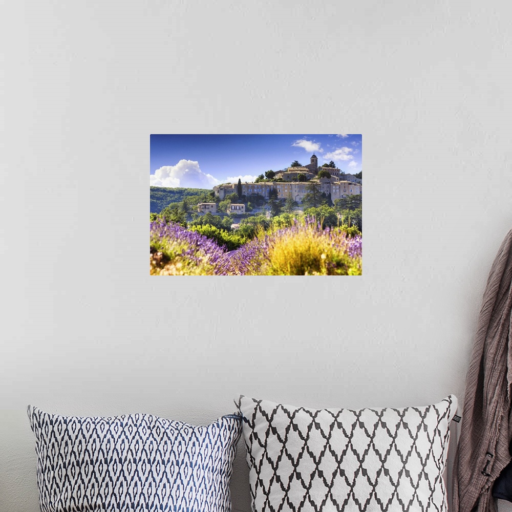 A bohemian room featuring France, Provence-Alpes-Cote d'Azur, Provence, Banon, Lavender field near Valensole