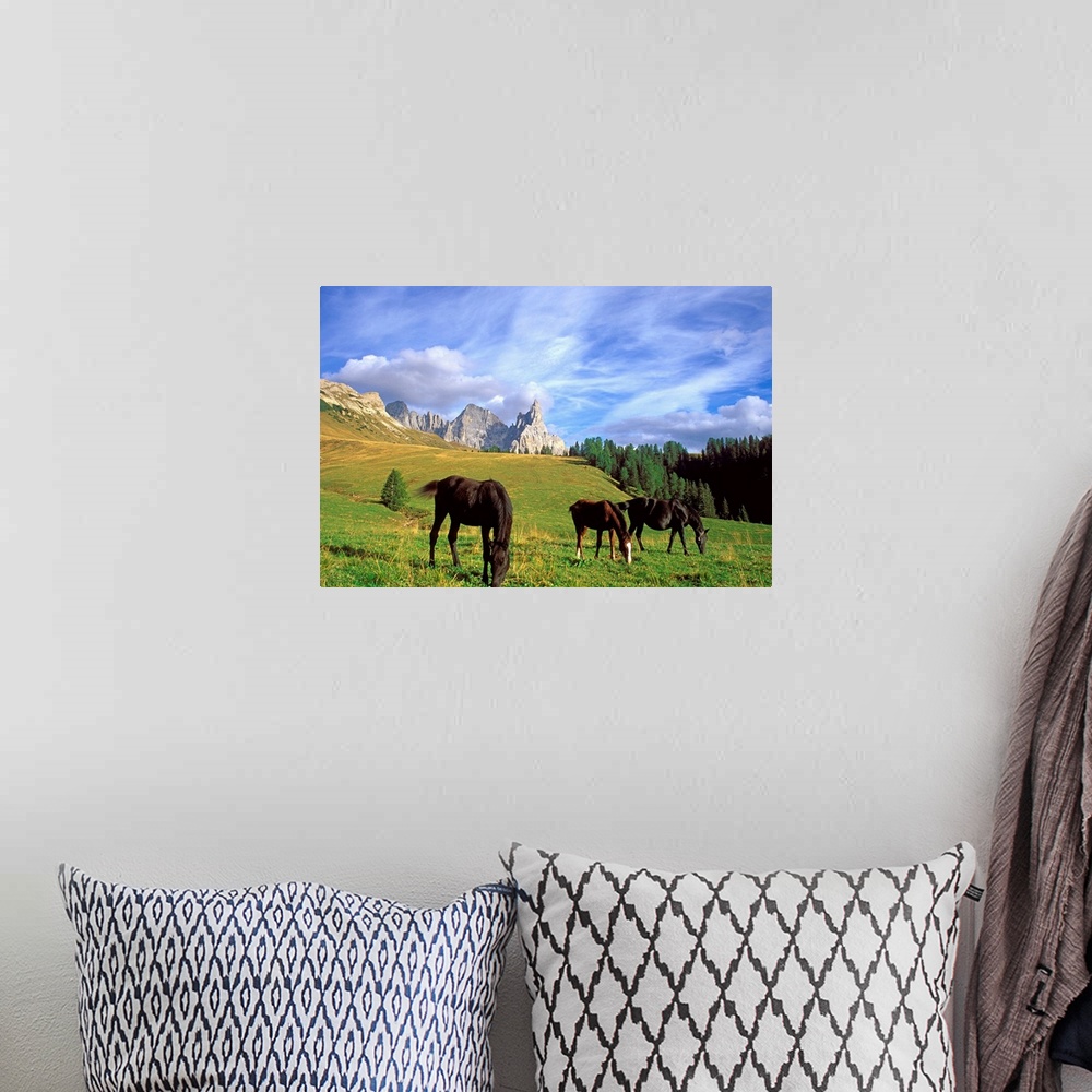 A bohemian room featuring Horses (Cimon della Pala mountain in background)