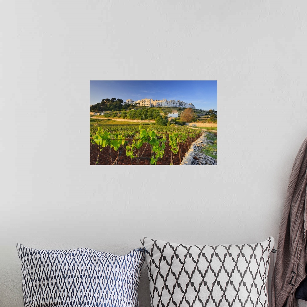 A bohemian room featuring Italy, Apulia, Bari district, Itria Valley, Locorotondo, View of white-washed village