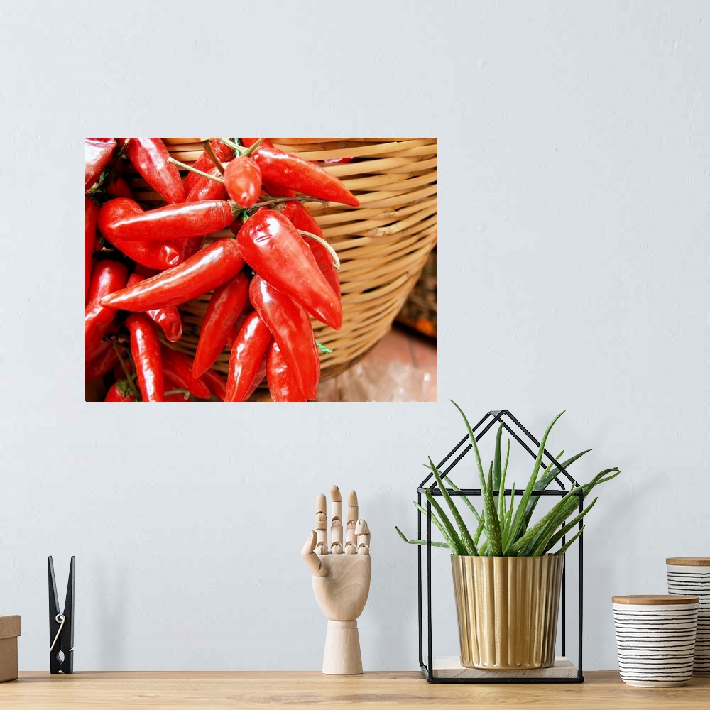 A bohemian room featuring Italy, Calabria, Tropea town, hot peppers