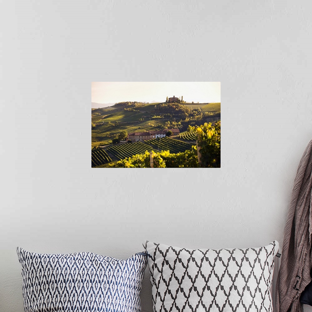 A bohemian room featuring Italy, Piedmont, Langhe, Barolo, Mediterranean area, Cuneo district, Travel Destination, Vineyards