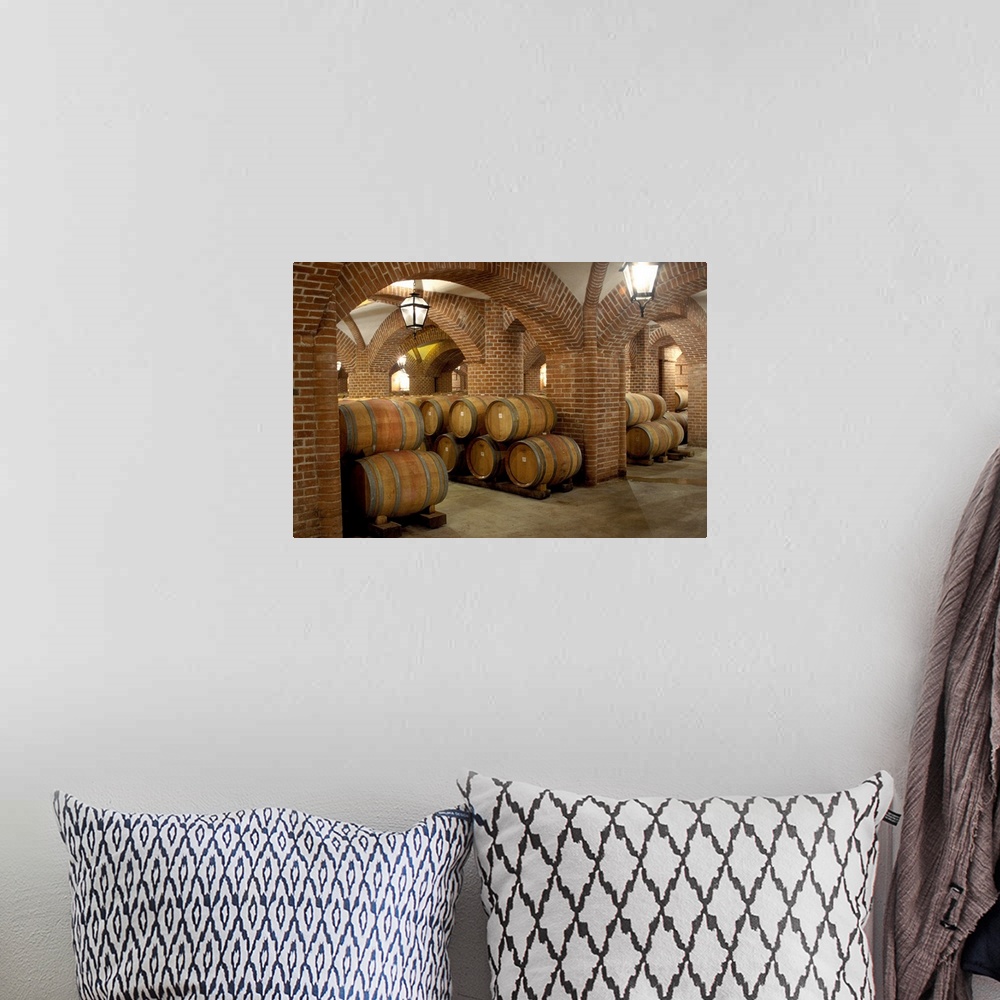 A bohemian room featuring Italy, Piedmont, Langhe, wine cellar of Rocche dei Manzoni Estate