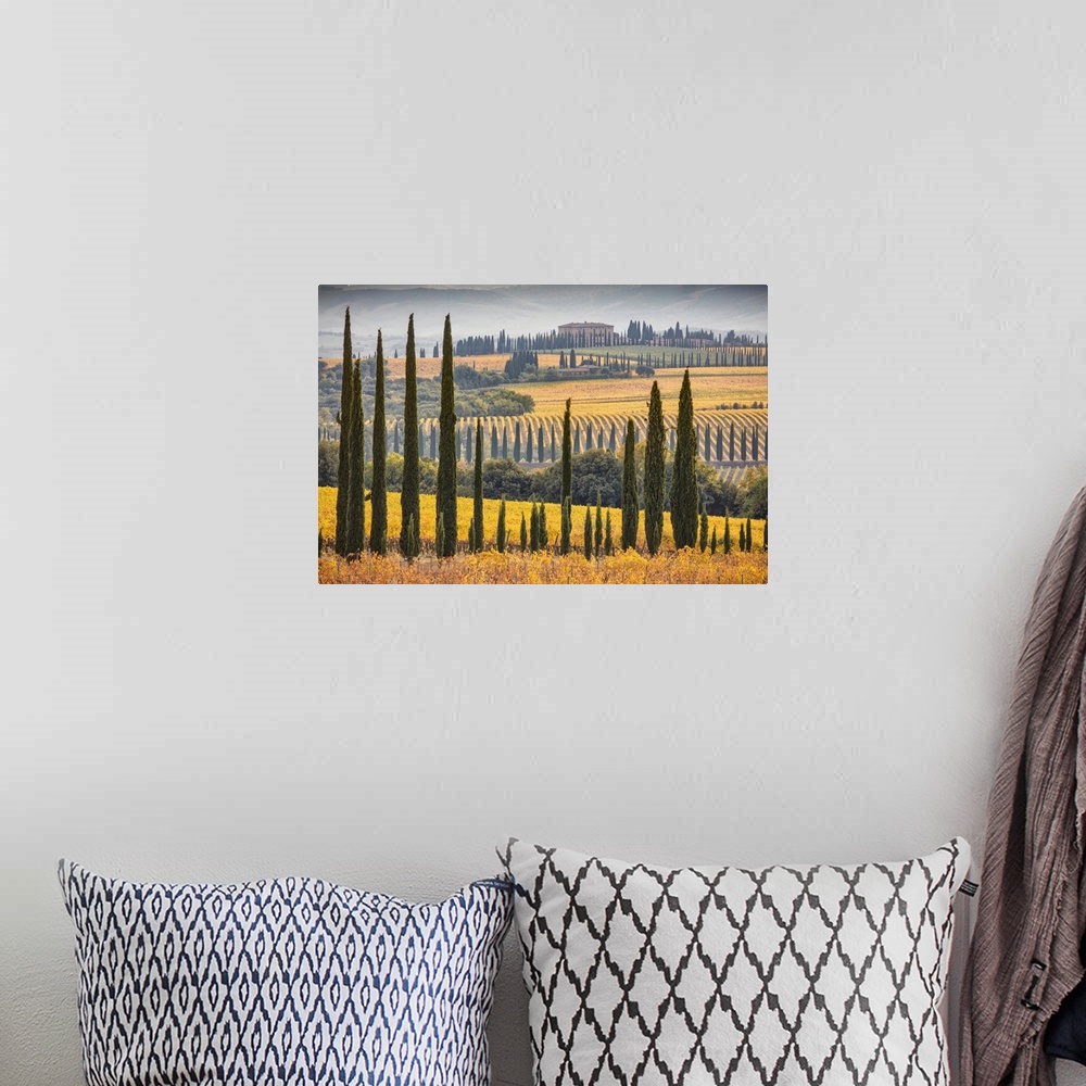 A bohemian room featuring Italy, Tuscany, Brunello wine road, Siena district, Orcia Valley, Montalcino, Landscape with Sang...