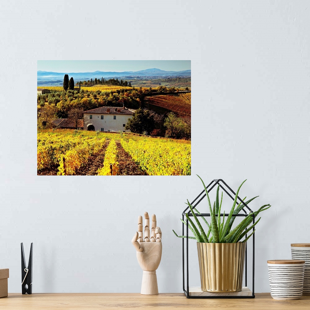 A bohemian room featuring Italy, Tuscany, Chianti, Mediterranean area, Firenze district, Brolio