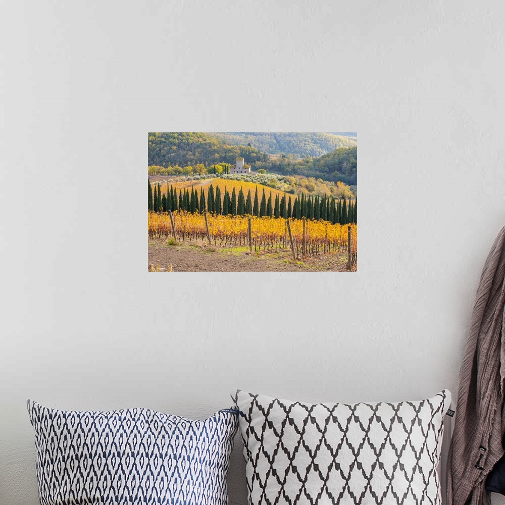 A bohemian room featuring Italy, Tuscany, Siena district, Chianti, Radda in Chianti, View of Chianti area during autumn