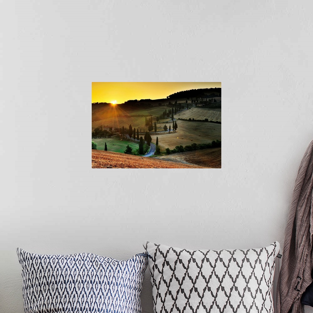 A bohemian room featuring Italy, Tuscany, Siena district, Orcia Valley, Tree lined road near Pienza
