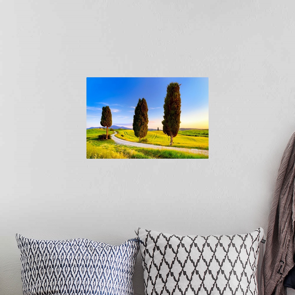A bohemian room featuring Italy, Tuscany, Siena district, Orcia Valley, Tuscan landscape near Pienza.