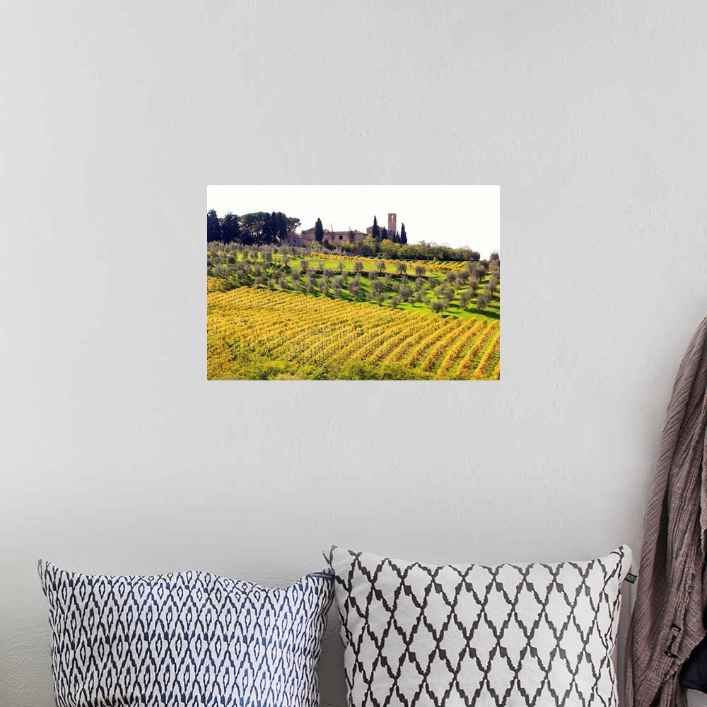 A bohemian room featuring Italy, Tuscany, Val d'Elsa, Countryside near San Gimignano village
