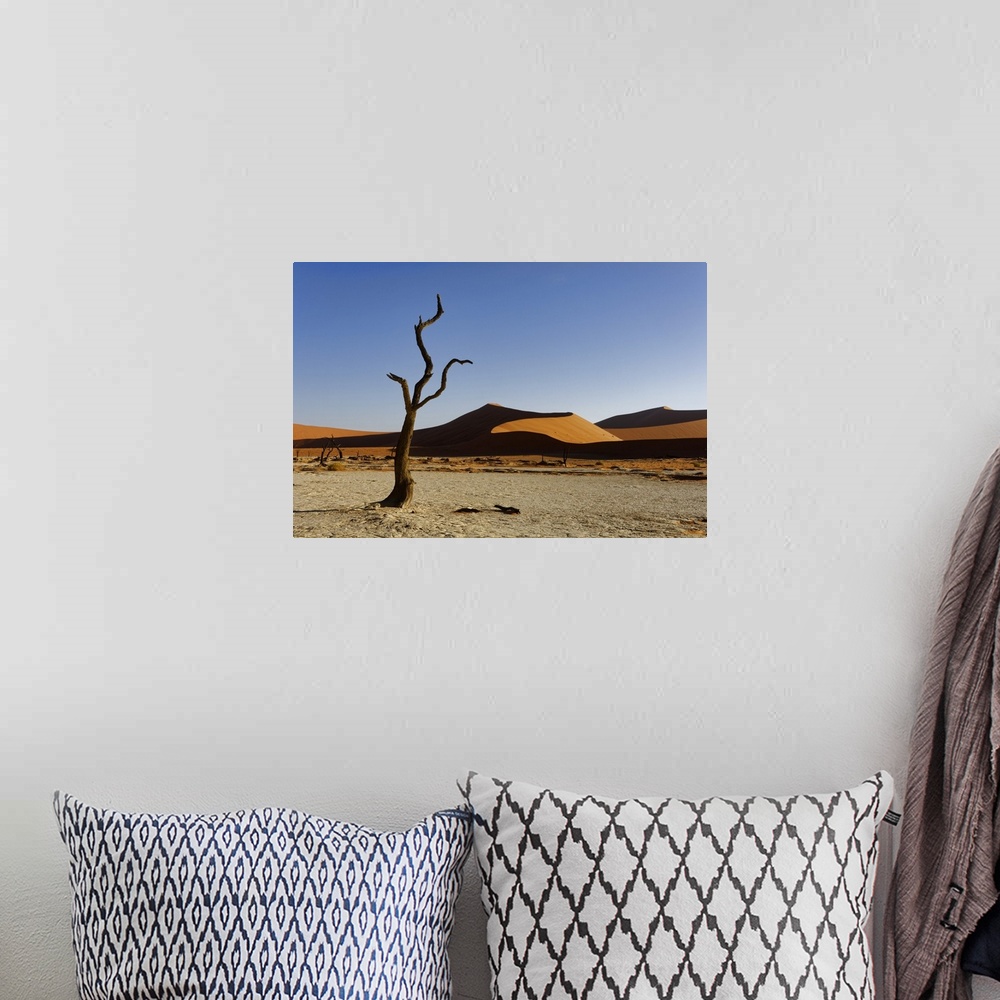 A bohemian room featuring Namibia, Hardap, Sossusvlei, Namib-Naukluft National Park, Dead camel thorn tree (Vachellia eriol...