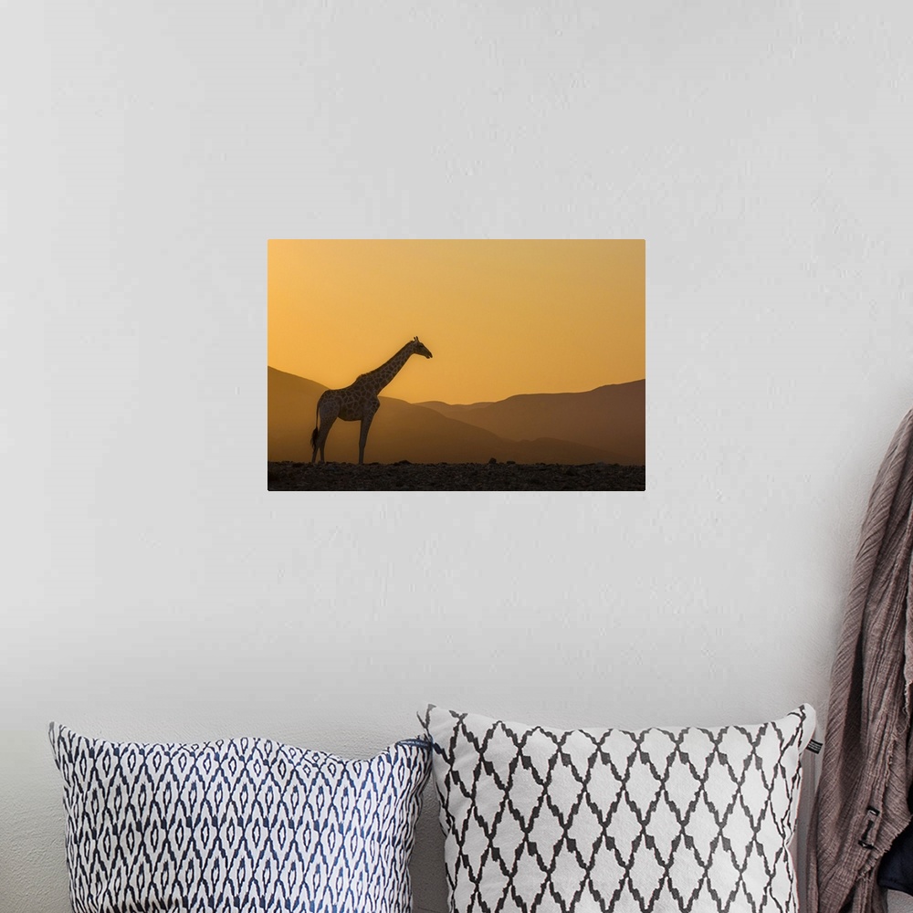 A bohemian room featuring Namibia, Kunene, Etosha National Park, Desert giraffe at sunrise in Purros