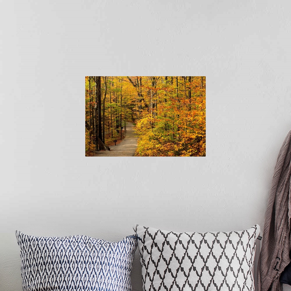 A bohemian room featuring New Hampshire, New England, White Mountains, The Flume Gorge, The path in autumn