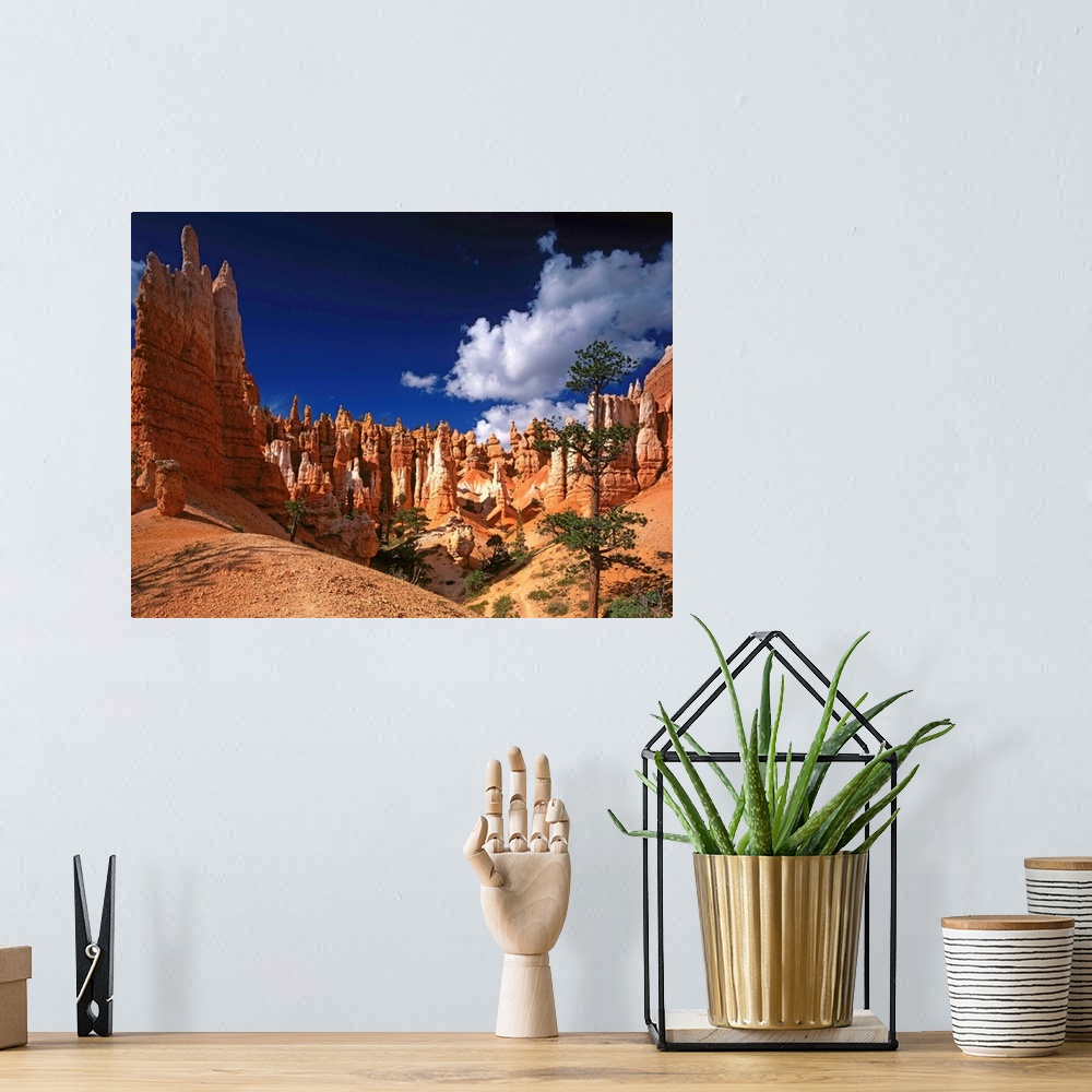 A bohemian room featuring United States, Utah, Bryce Canyon National Park, Queen's Garden