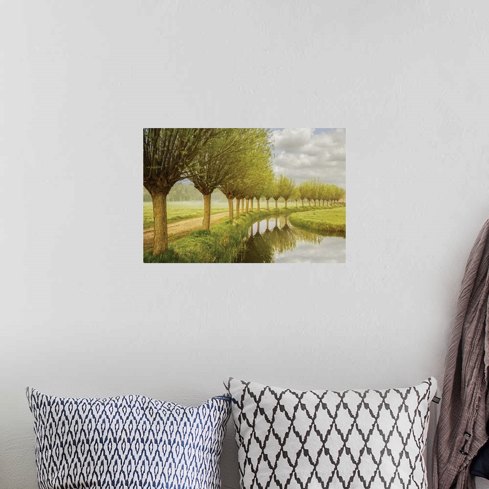 A bohemian room featuring Photograph of a row of trees along a canal in the countryside.