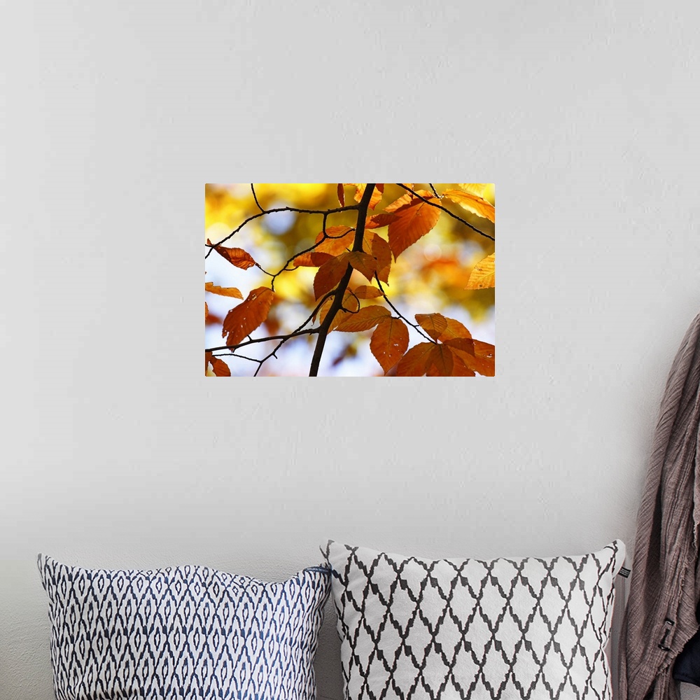 A bohemian room featuring Autumn Leaves 4