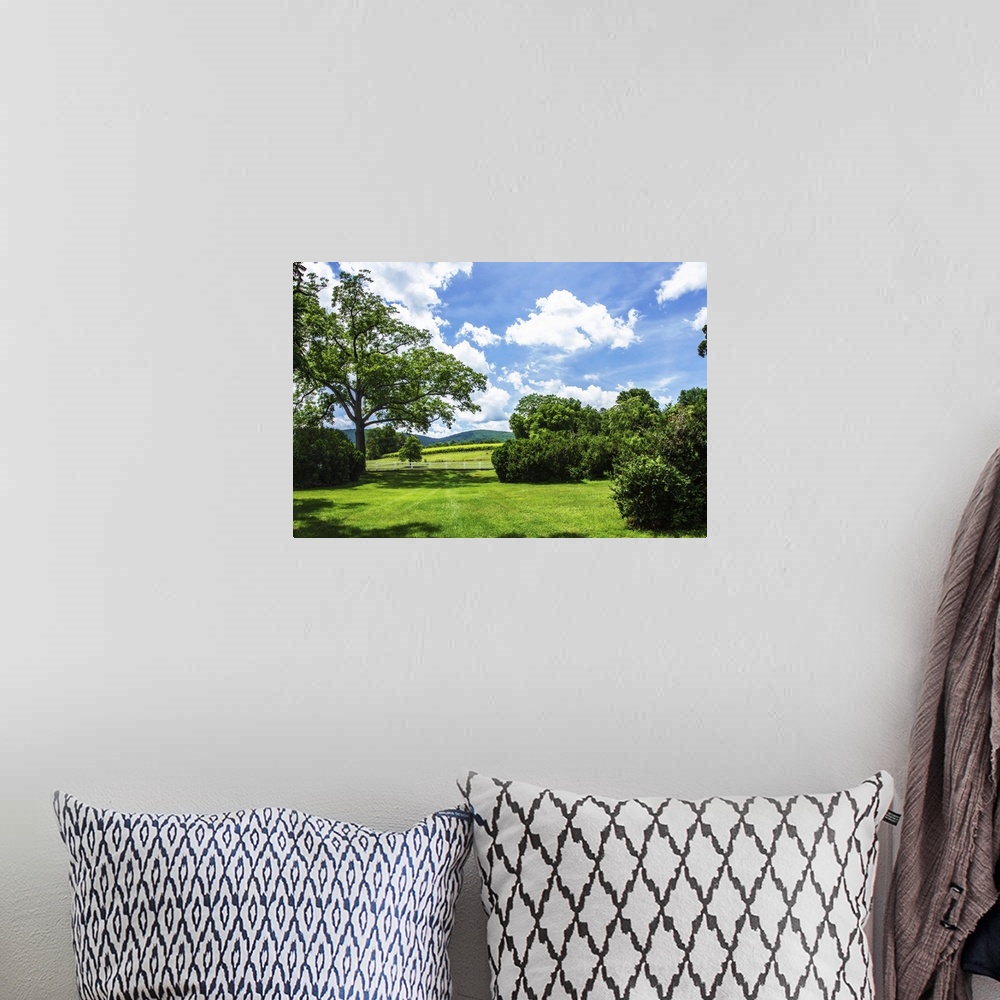 A bohemian room featuring Landscape photograph of the hilly countryside in Barboursville, VA.