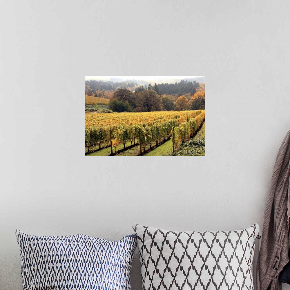 A bohemian room featuring Large canvas print of a vineyard with a fall foliage covered forest in the background.