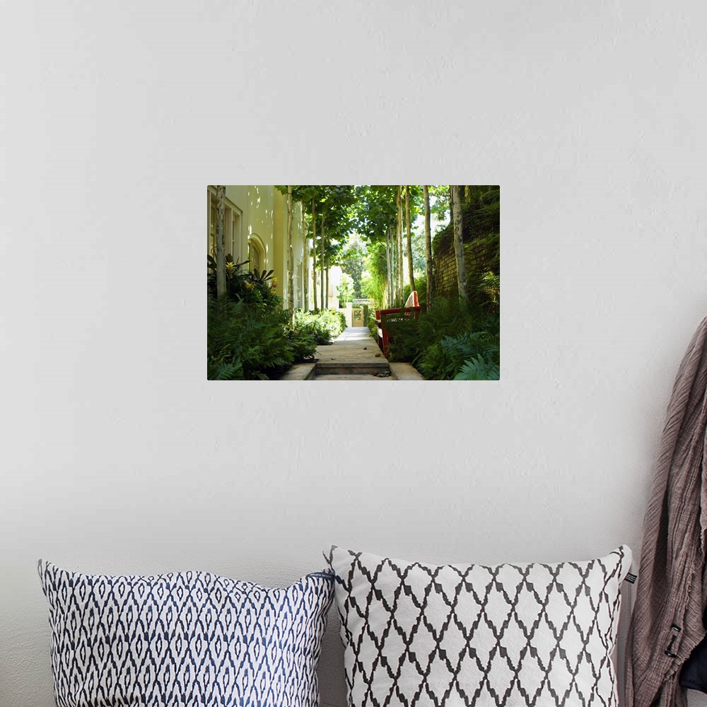 A bohemian room featuring A photograph of a shaded garden pathway besides a house, landscaped with tropical plants, and adj...